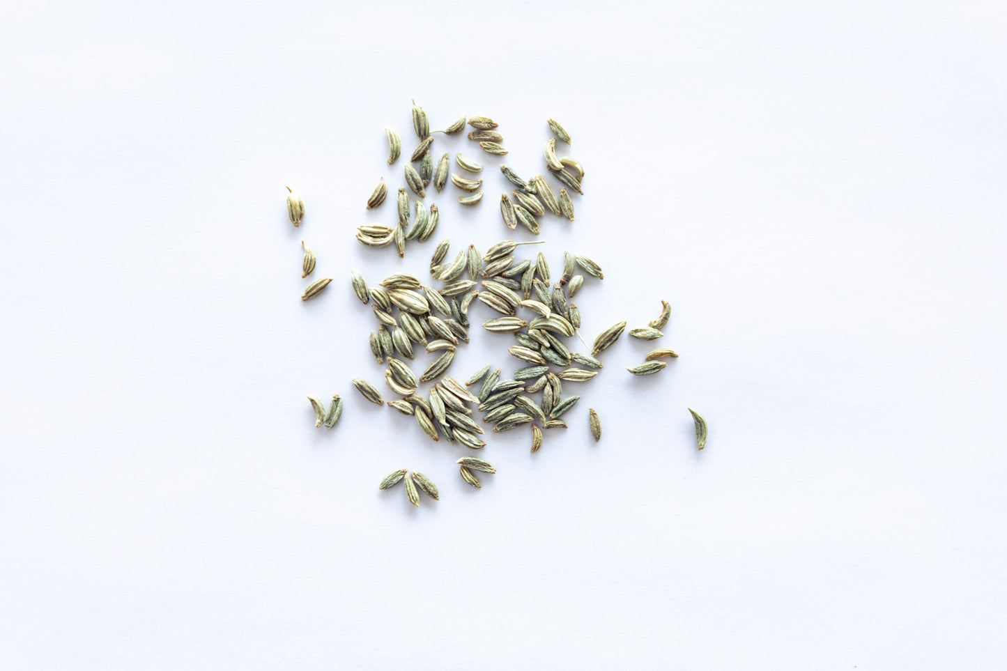 002 煎茶フェンネルシード